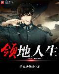 领地人生林中村落城墙有缝隙
