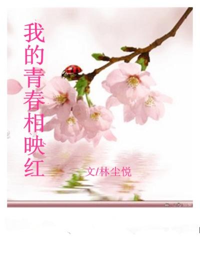 我的青春像太阳歌词