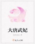 大唐上武媚娘的