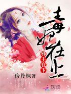 毒妃在上摄政王爷千千岁 月上无心