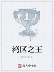 湾区之王笔趣阁无弹窗
