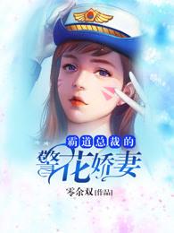 霸道总裁娇妻电视剧