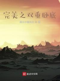 完美之双重卧底在线观看