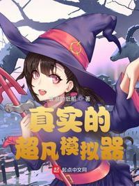 超任模拟器游戏