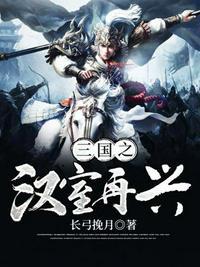 三国之中兴汉室