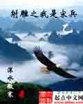 射雕英雄传宋兵乙