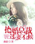 总裁过妻不候容夏