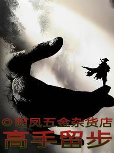 高手请留步