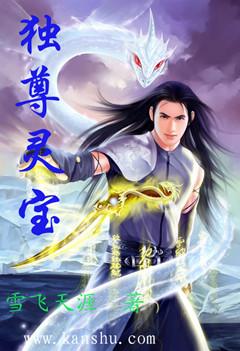 独尊圣域