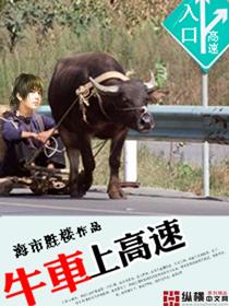 高速可以拉牛吗
