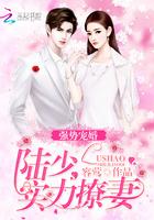 强势宠婚:陆少,实力撩妻